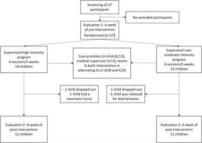 Impact of Physical Exercise on Symptoms of Depression and Anxiety in Pre-adolescents: A Pilot Randomized Trial